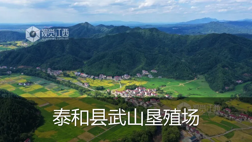 泰和县武山垦殖场